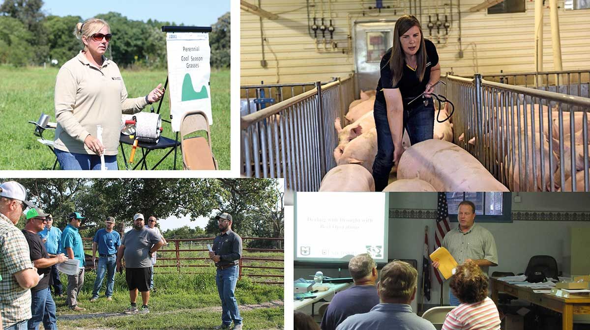 University of Missouri Extension photos